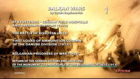 Balkan Wars of Đoka Bogdanović. Volume 1 / Balkanski ratovi Đoke Bogdanovića I (1913)