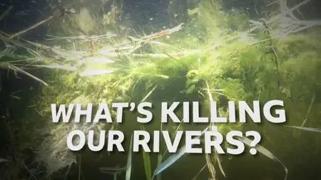 BBC - What's Killing Our Rivers (2022)