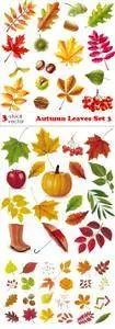 Vectors - Autumn Leaves Set 3