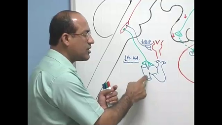 Dr. Najeeb - Endocrine Physiology (2015)