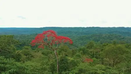 A World of Calm S01E09