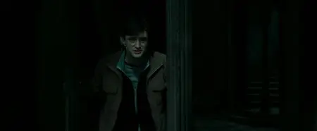 Harry Potter and the Deathly Hallows: Part 2 (2011)