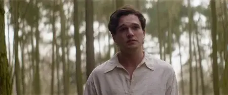 Testament of Youth (2014)