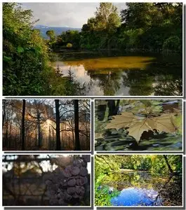SuperPack Beautiful Nature HD Wallpapers Part (232)