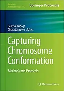 Capturing Chromosome Conformation: Methods and Protocols (Methods in Molecular Biology