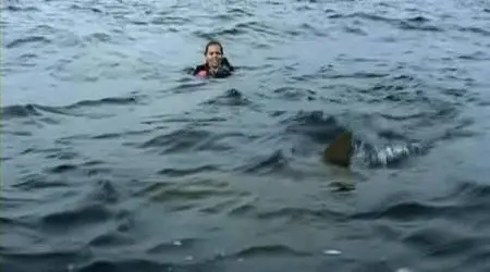 Open Water 1 & 2 (2003 & 2006)
