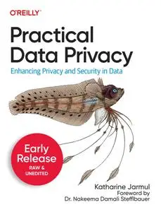 Practical Data Privacy (6th Early Release)