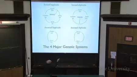 EEB 122 - PRINCIPLES OF EVOLUTION, ECOLOGY AND BEHAVIOR
