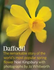 Daffodil The remarkable story of the world's most popular spring flower
