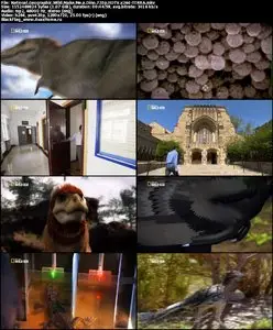 National Geographic Wild Make Me a Dino