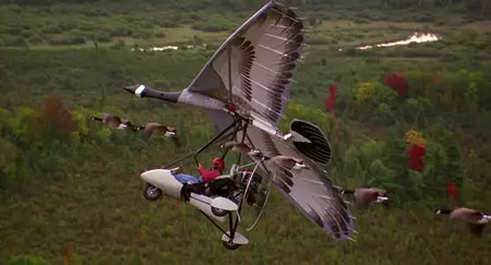 Fly Away Home / Летите домой (1996)
