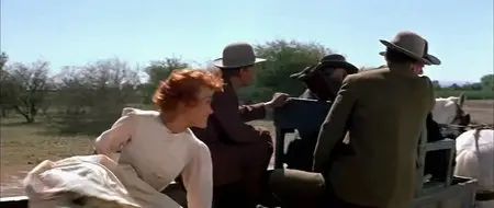 The Unforgiven (1960)