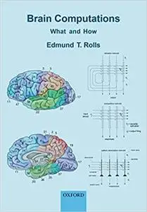 Brain Computations: What and How