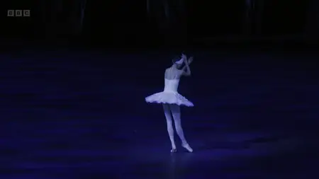 Swan Lake (2024)