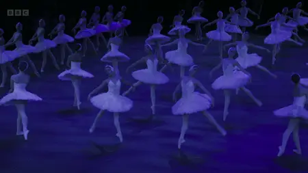 Swan Lake (2024)