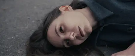 Dala qasqiri / Steppenwolf (2024)