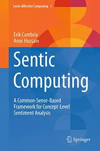 Sentic Computing: A Common-Sense-Based Framework for Concept-Level Sentiment Analysis