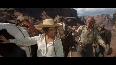 Bandolero! (1968)