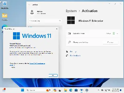 Windows 11 23h2 (No TPM Required) & Windows 10 22h2 AIO 32in1 Multilingual Preactivated May 2024