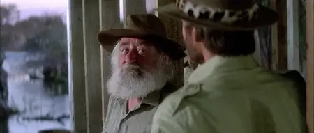Allan Quatermain and the Lost City of Gold (1986)