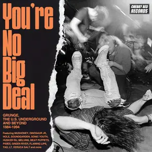 VA - You’re No Big Deal (Grunge, The U.S. Underground And Beyond 1984-1994) (2025)