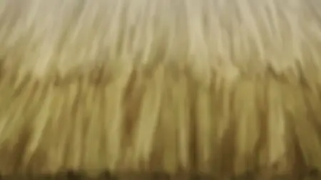 S01E01-The Harvest Festival and the Crowded Driver's Box