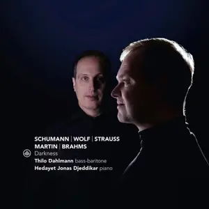 Thilo Dahlmann & Hedayet Djeddikar - Darkness (2026) [Official Digital Download 24/96]
