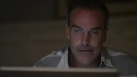Fatal Instinct (2014)