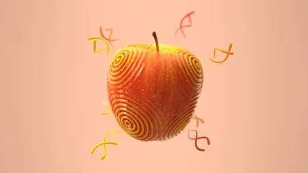 How To Scatter Sine Waves Onto Any Object In Houdini