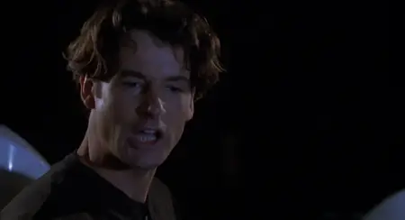 The Net (1995)