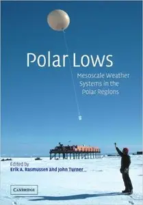 Polar Lows: Mesoscale Weather Systems in the Polar Regions