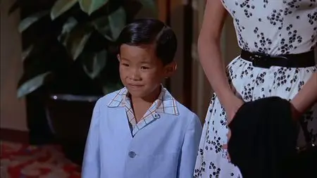 The Geisha Boy (1958)