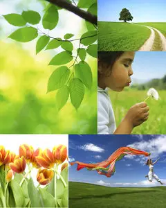 Istock - Spring images 