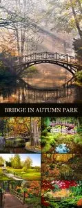 Stock Photo - Bridge in the Autumn Park