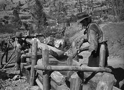 The Treasure of the Sierra Madre (1948)
