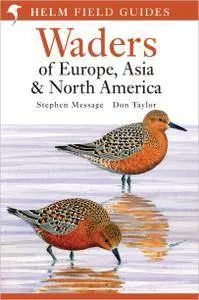 Waders of Europe, Asia and North America