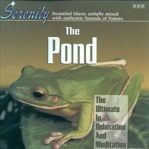 Steve Quinzi - The Pond (1995) {Serenity}