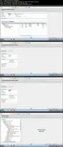 Curso Completo Consultor SAP MM desde Cero