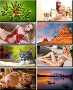 LIFEstyle News MiXture Images. Wallpapers Part (747)