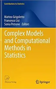 Complex Models and Computational Methods in Statistics