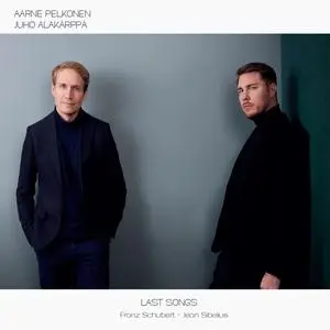 Aarne Pelkonen & Juho Alakärppä - Last Songs (2023) [Official Digital Download 24/96]