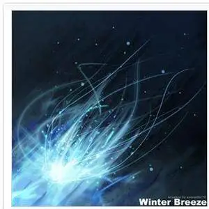 Winter Breeze Brushes for PhotoShop