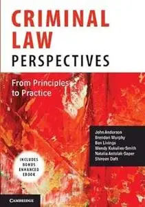 Criminal Law Perspectives: From Principles to Practice