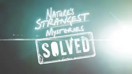 LLC - Natures Strangest Mysteries Solved Series 1:Part 13 Cuddly Shark (2019)
