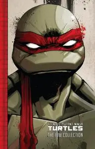 Teenage Mutant Ninja Turtles - The IDW Collection v01 (2015) (Digital) (danke-Empire