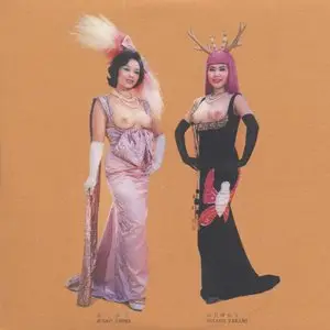 VA – Nova 3 Le Grand Mix vol.14 REPOST   (2008)