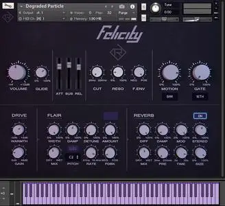 Rigid Audio Felicity v1.0 KONTAKT