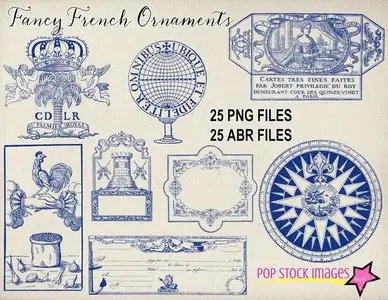 CreativeMarket - Vintage French Ornament Brushes