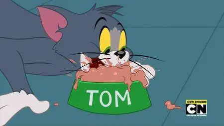 The Tom and Jerry Show S02E04a (2016)