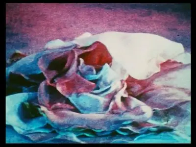 Pink Narcissus (1971)